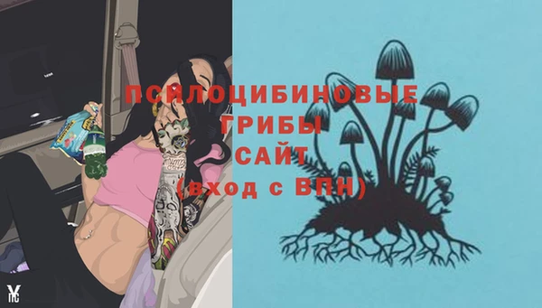 мяу мяу мука Балабаново