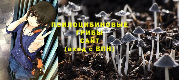 mdpv Балахна