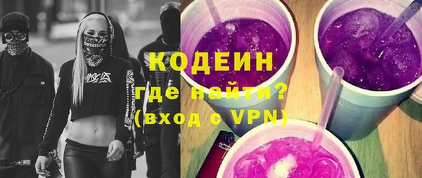 индика Баксан
