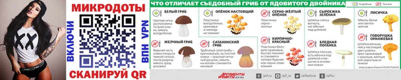 как найти закладки  Новоалександровск  Галлюциногенные грибы мухоморы 